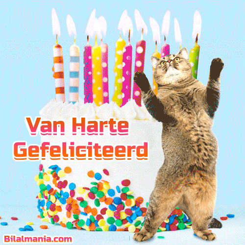 🔥50+Gif Verjaardag Whatsapp Gratis | Verjaardagskaart Gratis Gif Verjaardag Whatsapp Gratis