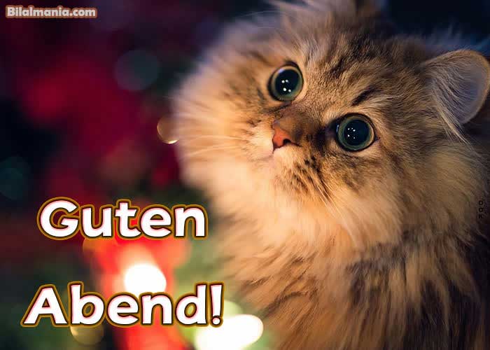 🔥70+ Guten Abend Gute Nacht Bilder Für Whatsapp Guten Abend Gute Nacht Bilder Kostenlos