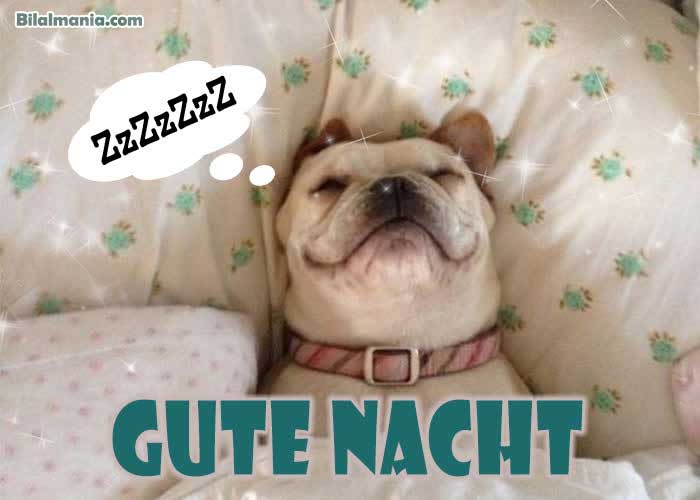 🔥70+ Guten Abend Gute Nacht Bilder Für Whatsapp Lustige Guten Abend Gute Nacht Bilder Kostenlos