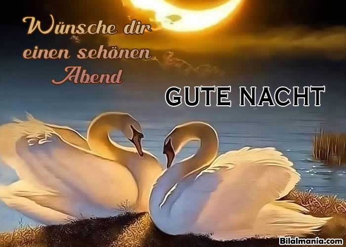 🔥70+ Guten Abend Gute Nacht Bilder Für Whatsapp Guten Nacht Grüße Kostenlos