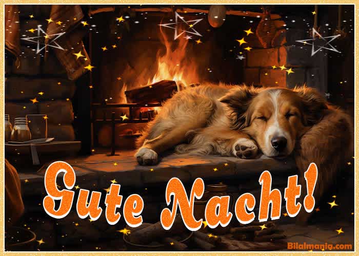 🔥70+ Guten Abend Gute Nacht Bilder Für Whatsapp Guten Nacht Bilder Neu