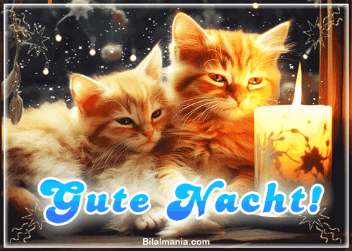 Whatsapp Gute Nacht Gif