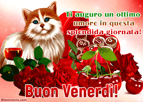 🔥 50+ Buongiorno Buon Venerdì Gif Immagini Gratis Speciale Buon Venerdì Gif Nuove