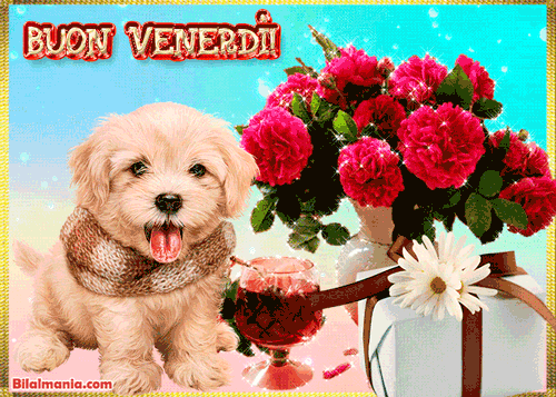 🔥 50+ Buongiorno Buon Venerdì Gif Immagini Gratis Buongiorno Buon Venerdì Gif