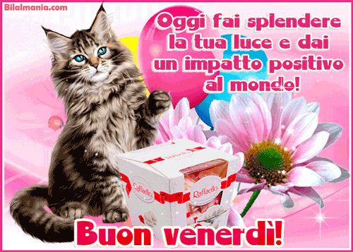 🔥 50+ Buongiorno Buon Venerdì Gif Immagini Gratis Speciale Buon Venerdì Gif Nuove