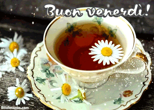 🔥 50+ Buongiorno Buon Venerdì Gif Immagini Gratis Buongiorno Buon Venerdi Gif