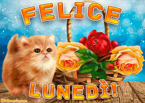 Buon Lunedì Gif