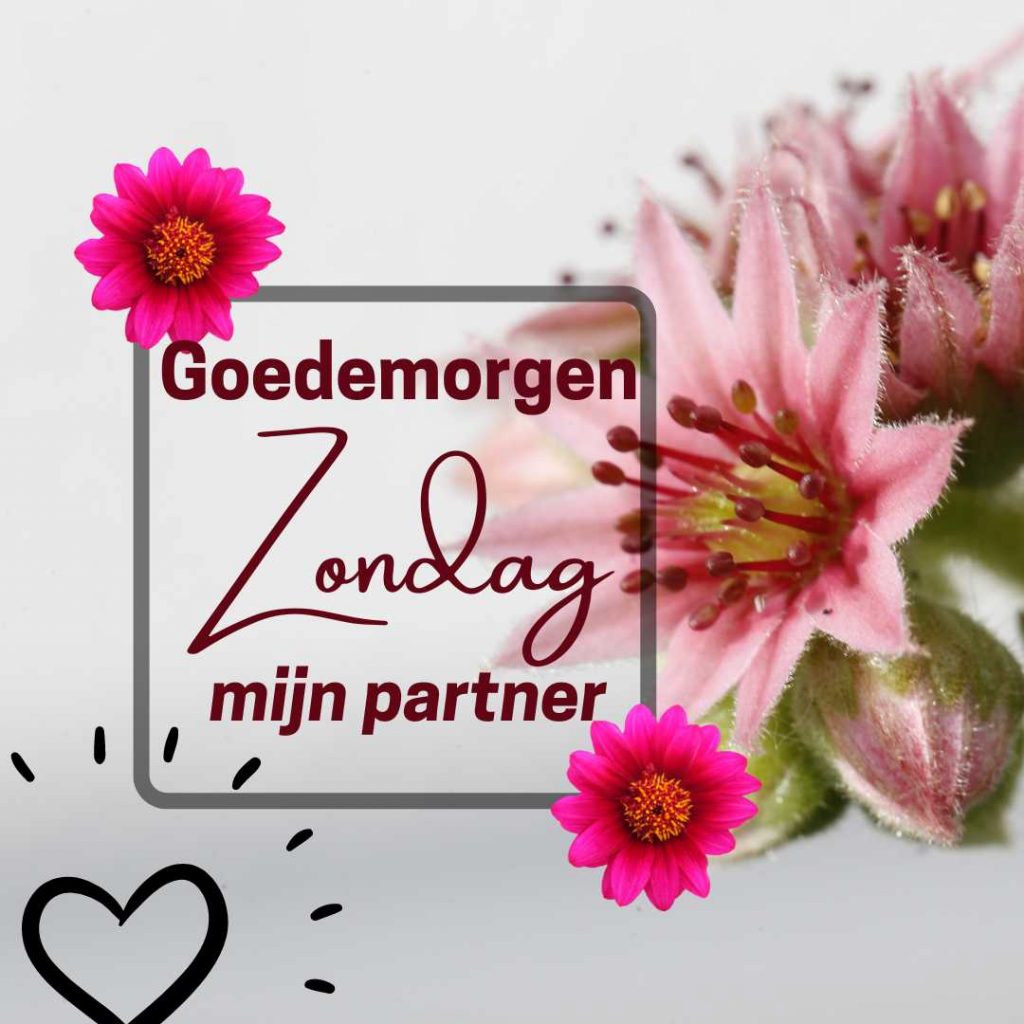 Goedemorgen zondag mijn partner