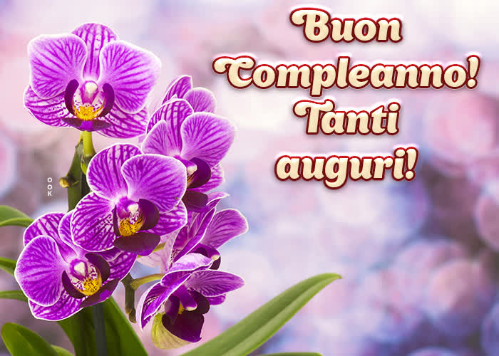 ᐅ 50+ Whatsapp Buon Compleanno Gif Immagini auguri di buon compleanno immagini