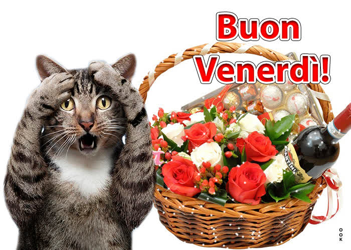 🔥 50+ Buongiorno Buon Venerdì Gif Immagini Gratis Buon Venerdì Immagini Nuove Bellissime Gratis
