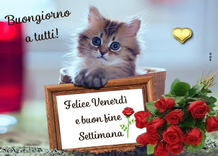 🔥 50+ Buongiorno Buon Venerdì Gif Immagini Gratis Buongiorno Buon Venerdì Autunnale Immagini Nuevo Gratis 2024
