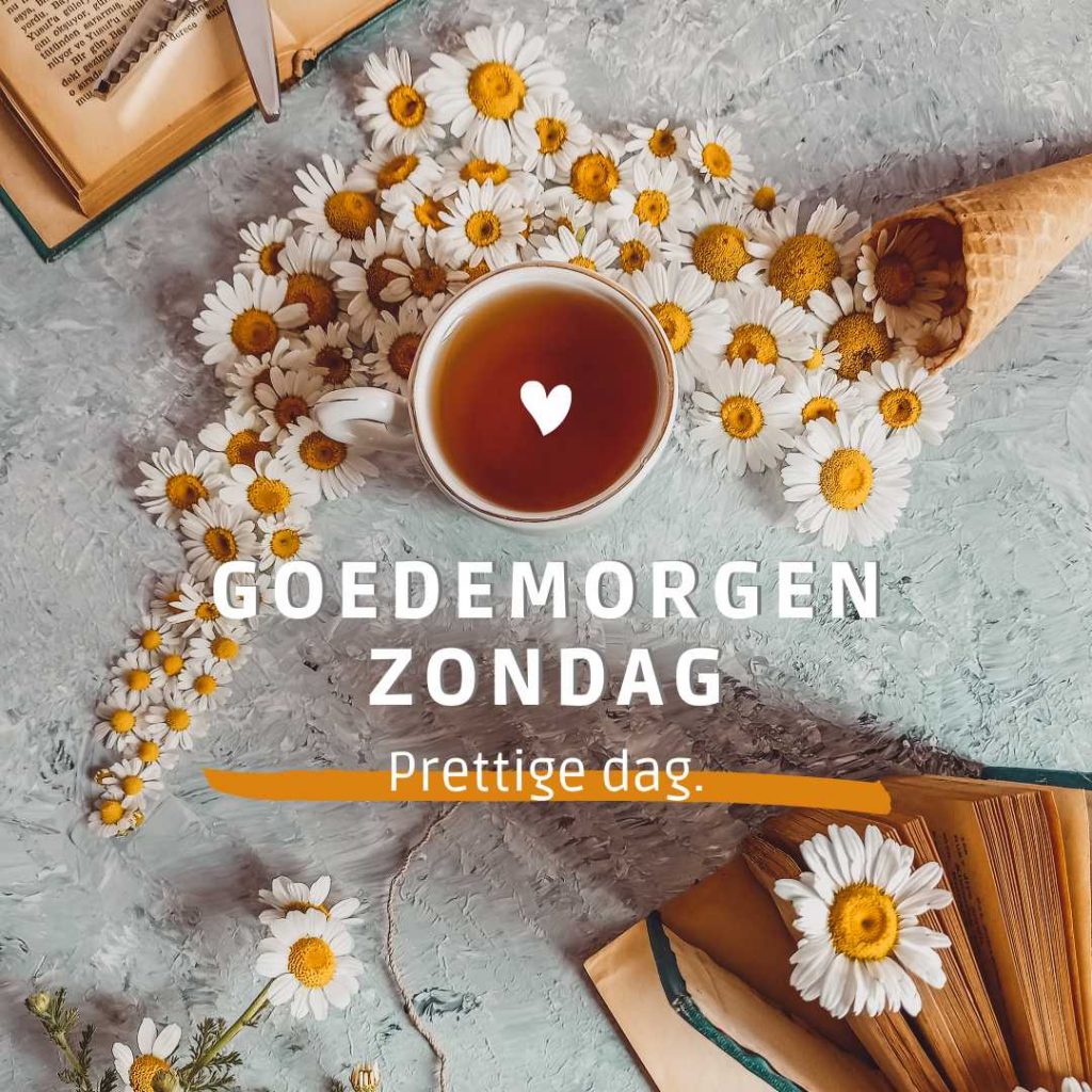 goedemorgen zondag Prettige dag.