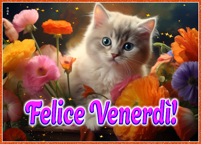 🔥 50+ Buongiorno Buon Venerdì Gif Immagini Gratis Immagini Buongiorno Buon Venerdi