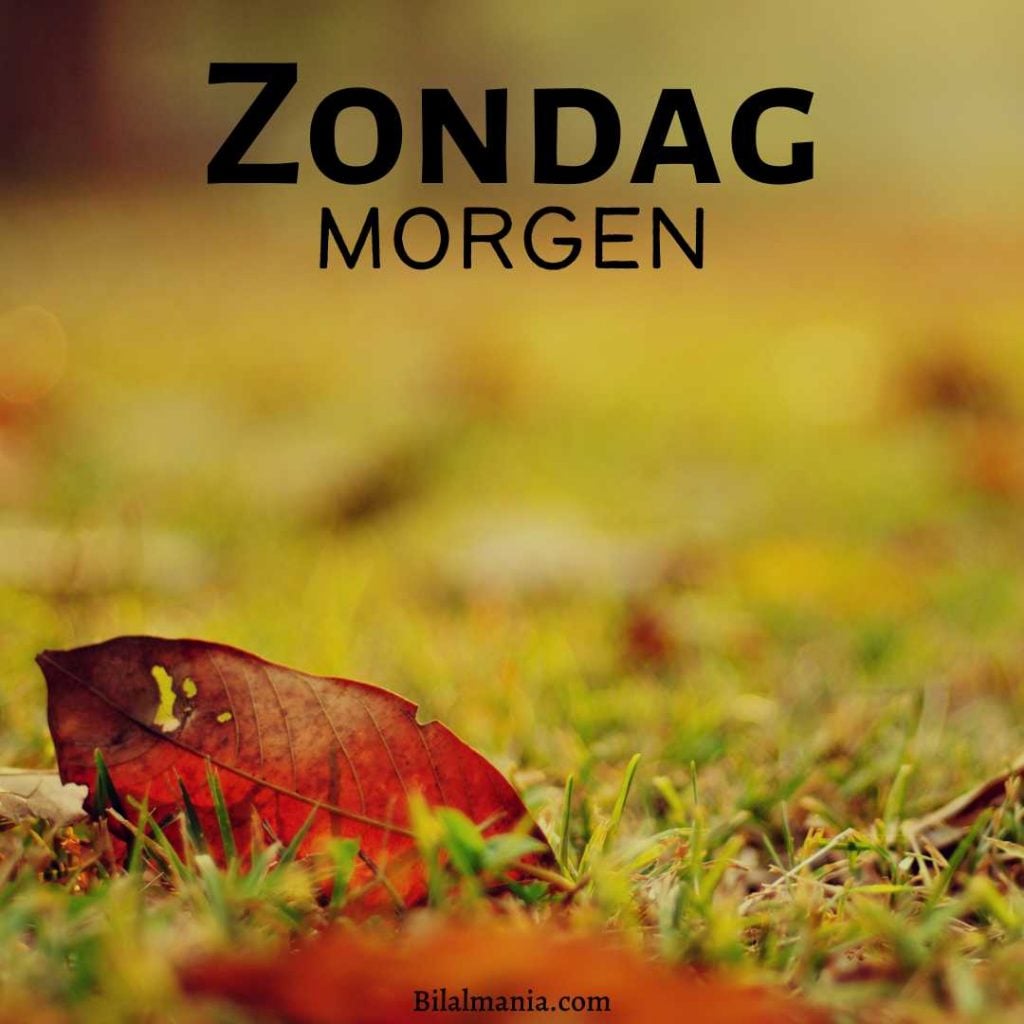 Zondag Morgen