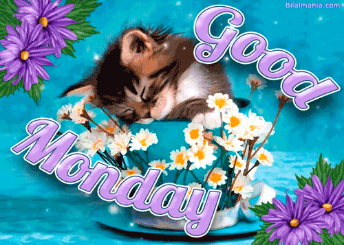 Happy good morning Monday Gif