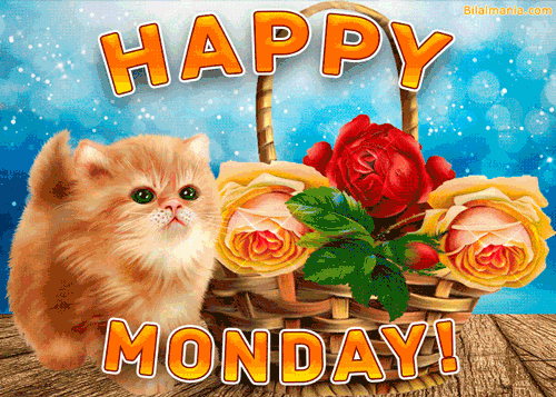 🔥70+Top Good Morning Monday Gif For Whatsapp Good Morning Monday GIF Cute