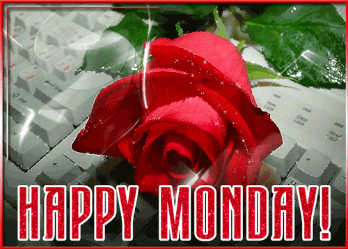 Good Morning Monday GIF Love