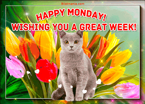 Good Morning Monday GIF Love