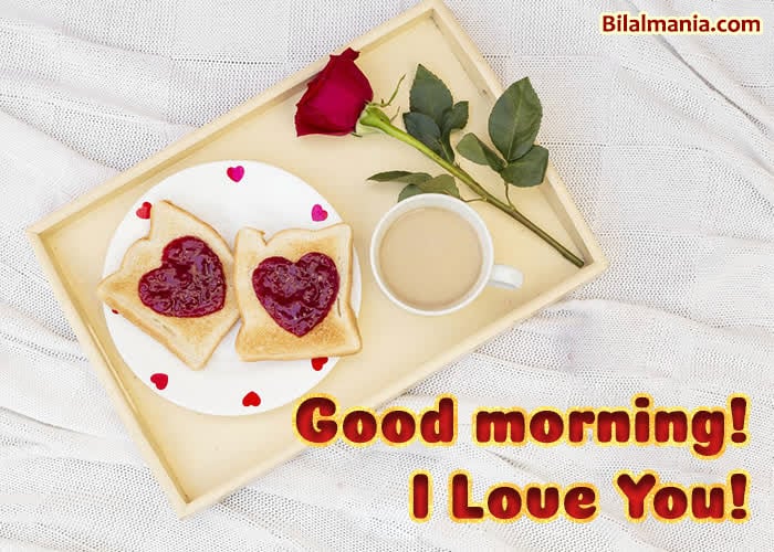 ☀️70+ Free Beautiful Good Morning Gif Images Beautiful Good Morning Image