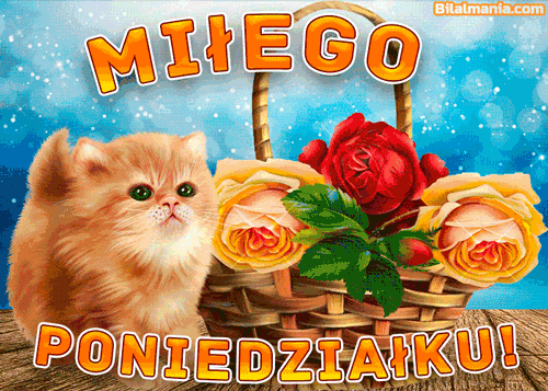 Gify na Poniedziałek