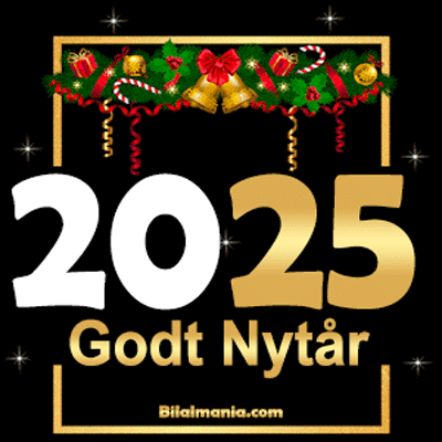 Godt Nytår 2025 GIF