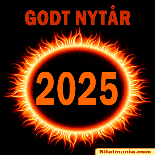 Godt Nytår 2025 GIF