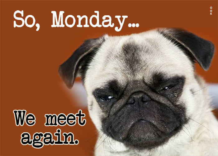 Good Morning Monday Images Free Download