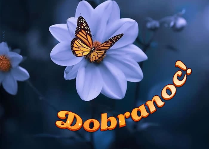 ▶️50+ Piękne Gify na Dobranoc, Obrazki i życzenia Obrazki na Dobranoc do Pobrania za darmo
