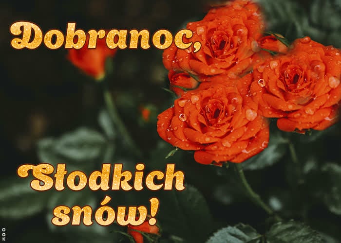 ▶️50+ Piękne Gify na Dobranoc, Obrazki i życzenia Darmowe Obrazki na Dobranoc
