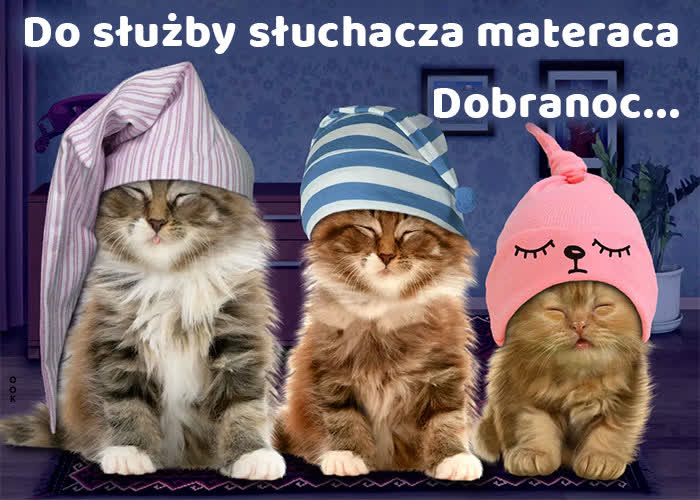▶️50+ Piękne Gify na Dobranoc, Obrazki i życzenia Nowe Obrazki na Dobranoc