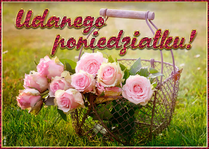 coś miłego na poniedziałek