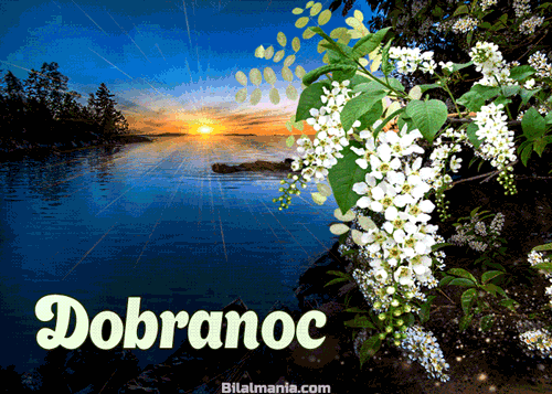 ▶️50+ Piękne Gify na Dobranoc, Obrazki i życzenia Gify na Dobranoc Nowe