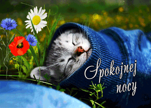 ▶️50+ Piękne Gify na Dobranoc, Obrazki i życzenia Gify na Dobranoc śmieszne