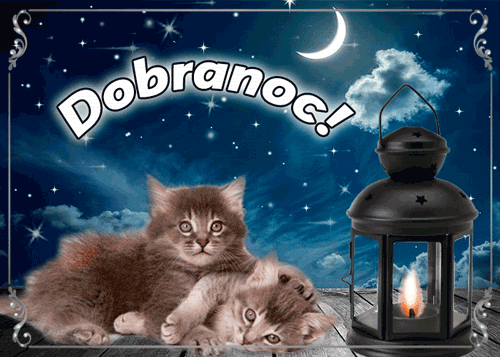 ▶️50+ Piękne Gify na Dobranoc, Obrazki i życzenia Darmowe gify na dobranoc