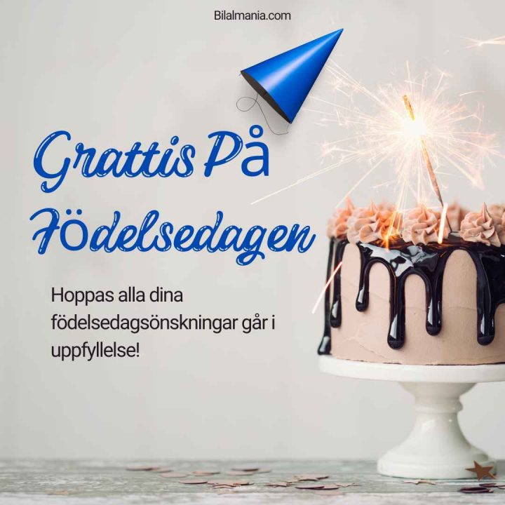 Grattis På Födelsedagen Text