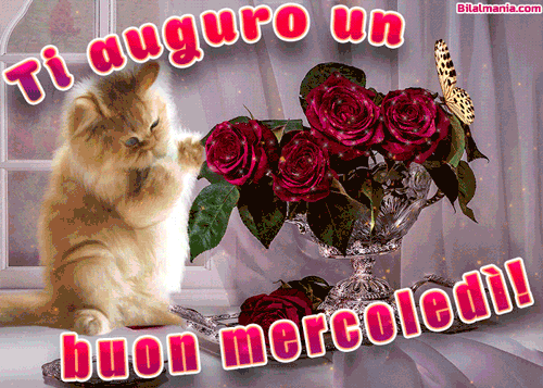Buon Mercoledì Gif