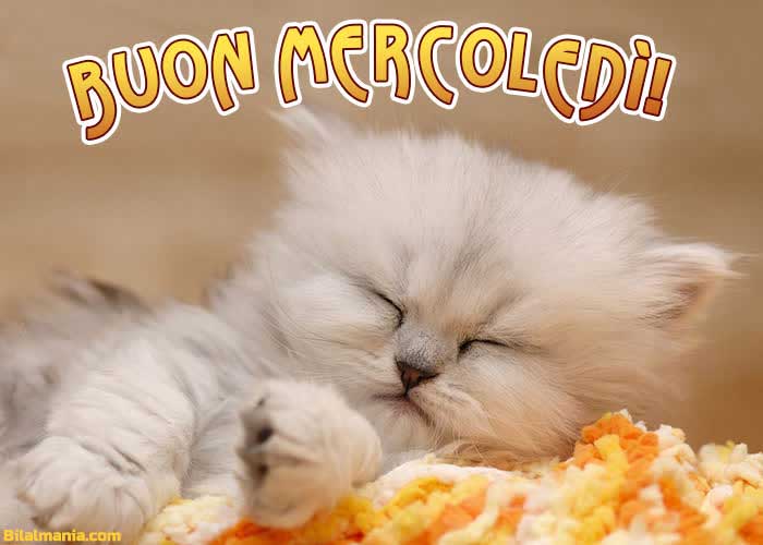 🔥50+ Buongiorno Buon Mercoledì Gif Immagini Gratis Buongiorno e Buon Mercoledì Nuovissimi