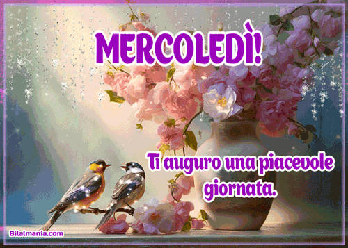 🔥50+ Buongiorno Buon Mercoledì Gif Immagini Gratis Buon Mercoledì Gif Gratis