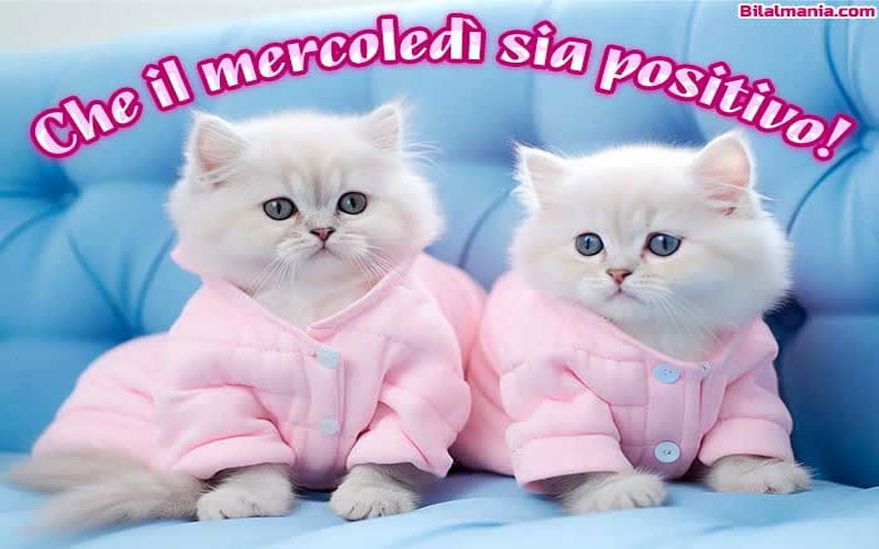 🔥50+ Buongiorno Buon Mercoledì Gif Immagini Gratis Buon Mercoledì Immagini