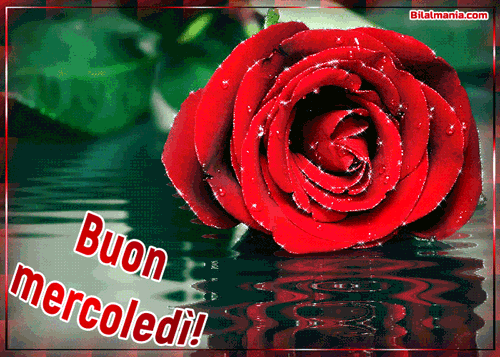 🔥50+ Buongiorno Buon Mercoledì Gif Immagini Gratis Buon Mercoledì Piovoso Gif