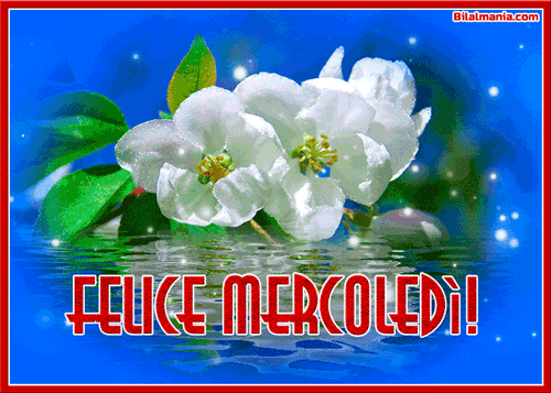 🔥50+ Buongiorno Buon Mercoledì Gif Immagini Gratis Buon Mercoledì Piovoso Gif