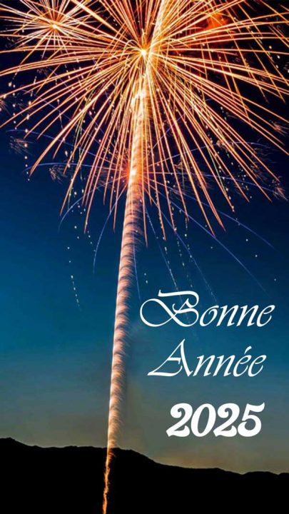 image bonne année 2025