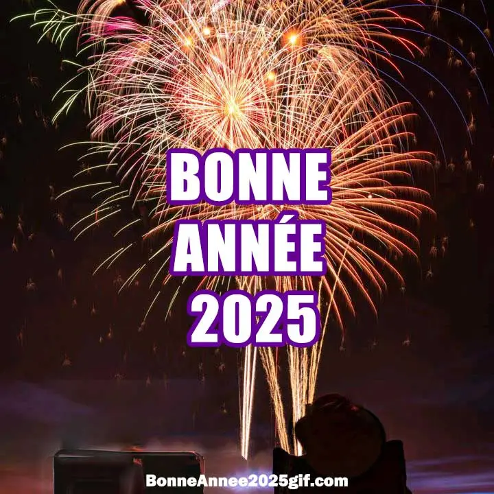 Image Bonne Année 2025