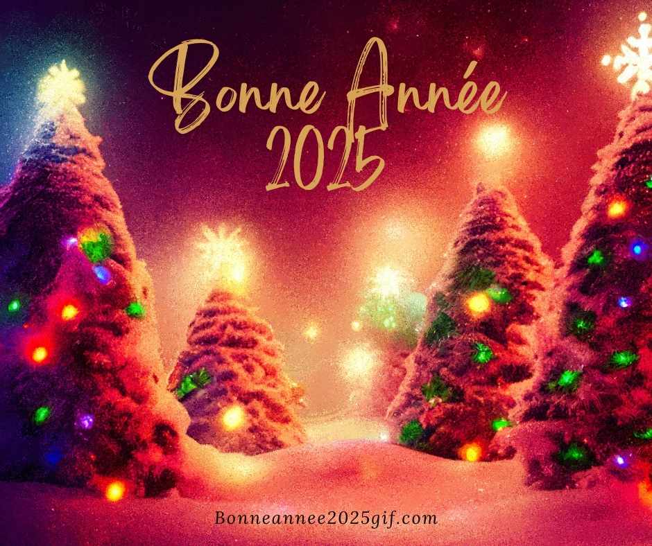 Image Bonne Année 2025