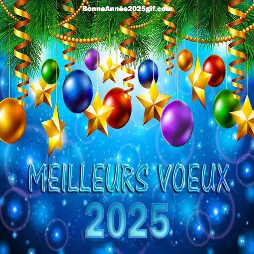 Image Meilleurs Voeux 2025