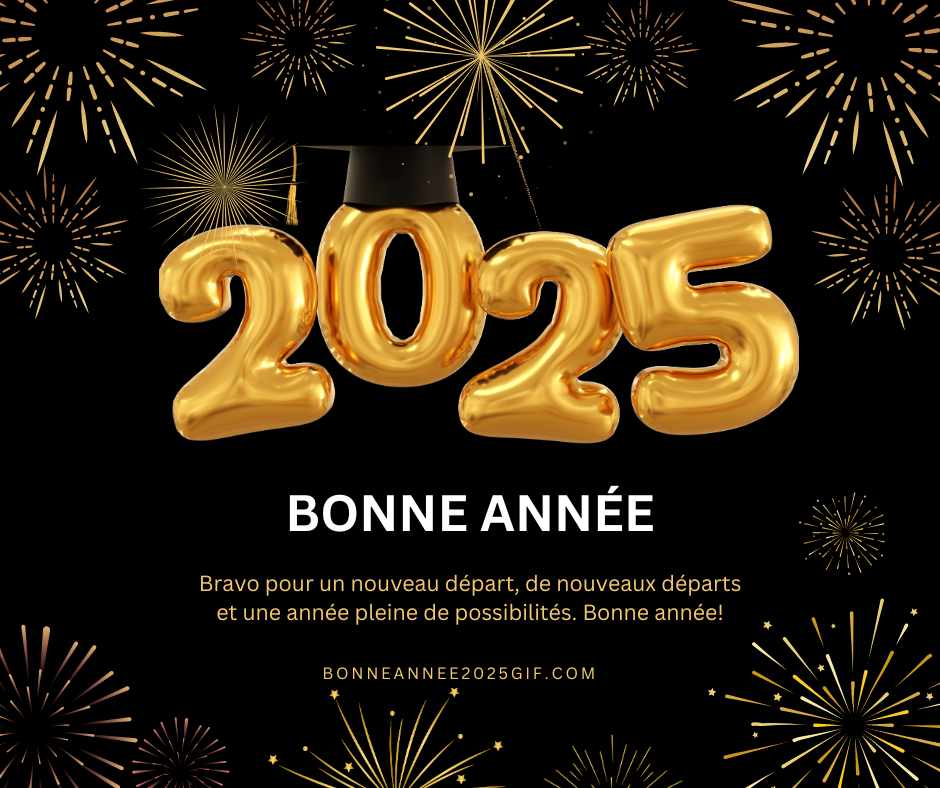 meilleurs voeux bonne année 2025
