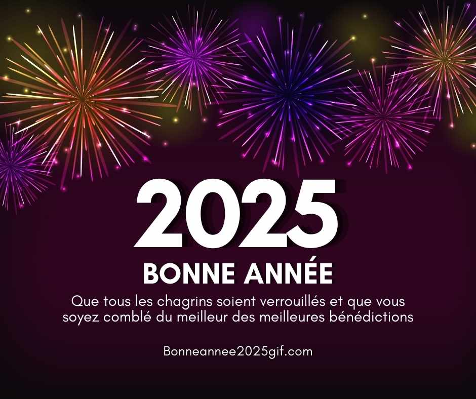 meilleurs voeux bonne année 2025