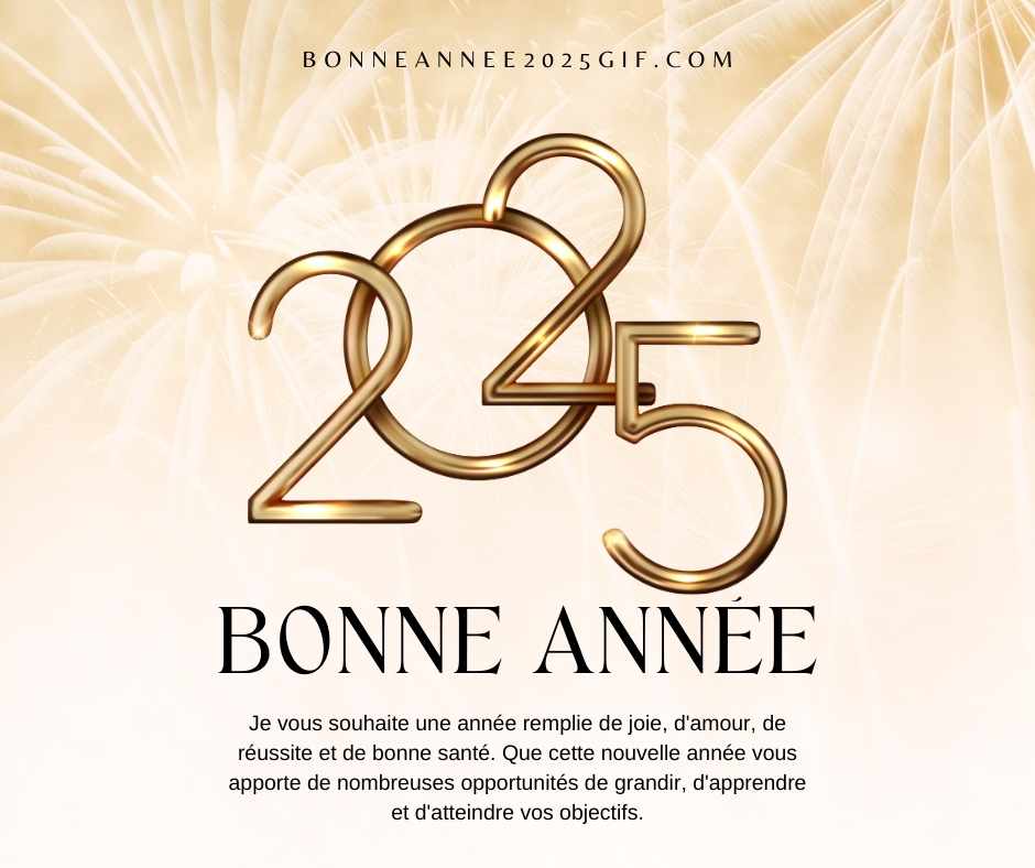 meilleurs voeux bonne année 2025