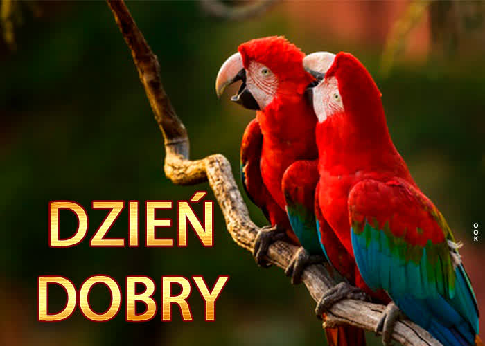 🔥50+ Nowe Kartki na Dzień Dobry, Obrazki i życzenia Obrazki na dzień dobry
