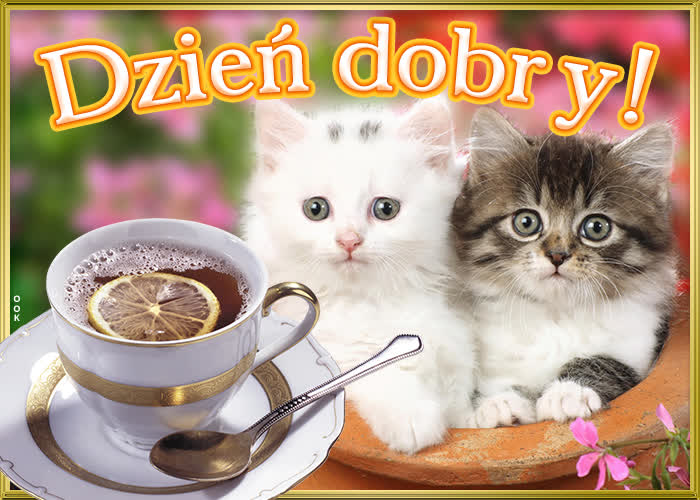 🔥50+ Nowe Kartki na Dzień Dobry, Obrazki i życzenia Nowe Obrazki na dzień dobry